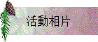 活動相片